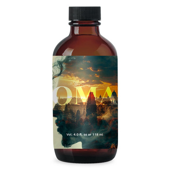 Wholly Kaw woda po goleniu Roman 118ml